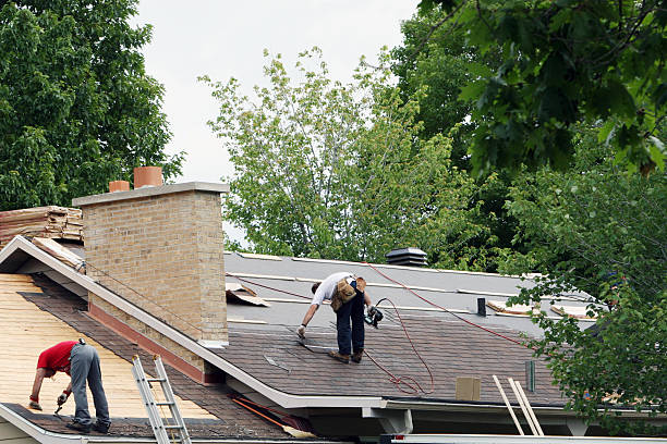Best Roof Repair Services  in Winthrop, IA